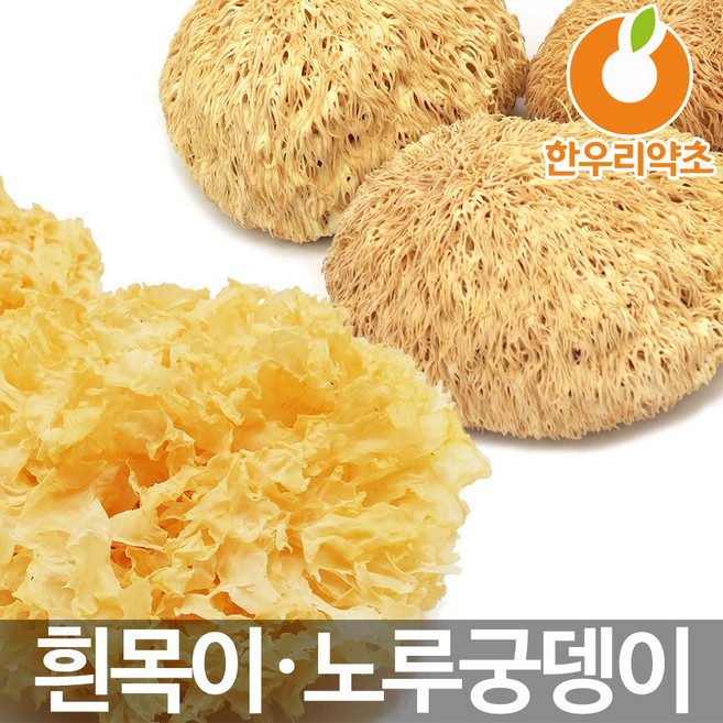 차가버섯 흰목이 영지 노루궁뎅이 버섯, (러시아산)차가버섯1kg, 1kg, 1개