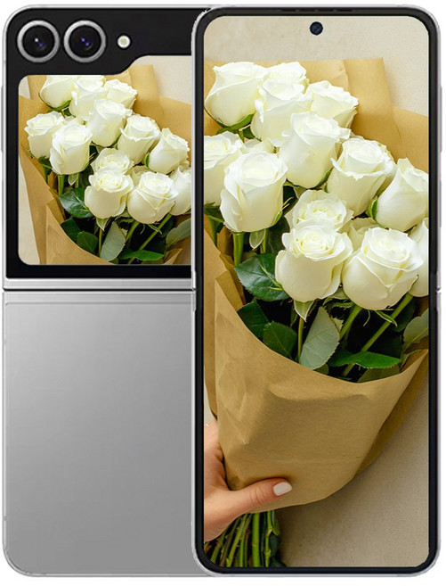 갤럭시 삼성전자 Z플립 6, 256GB, Z플립6 실버쉐도우