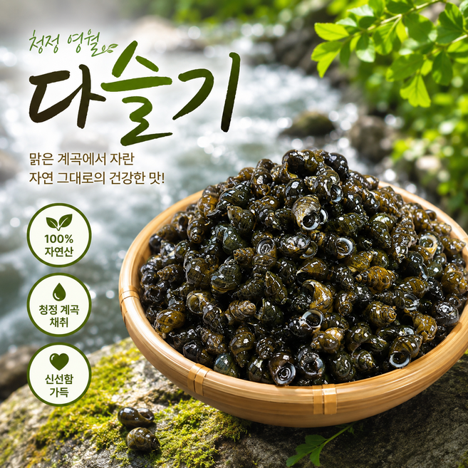 국산 당일잡은 생다슬기 영월 김삿갓계곡, 1개, 1kg