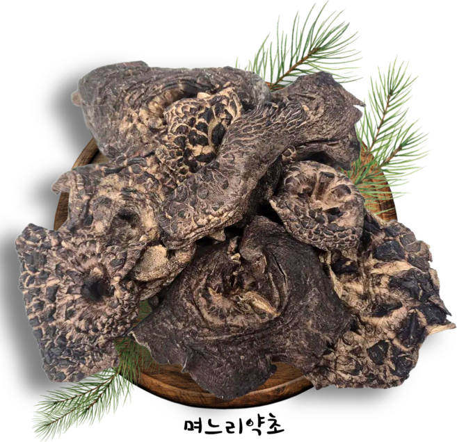 며느리약초 자연산 능이버섯 A급 (특품) 건조 100g, 1개, 100g(1개)