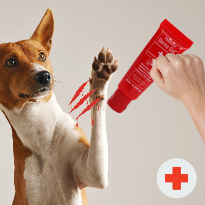 강아지 고양이 습진 보습 상처 연고, 1개, 10ml