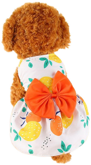 우기펫 반려동물 러블리 리본 스커트, 1개, 오렌지레몬