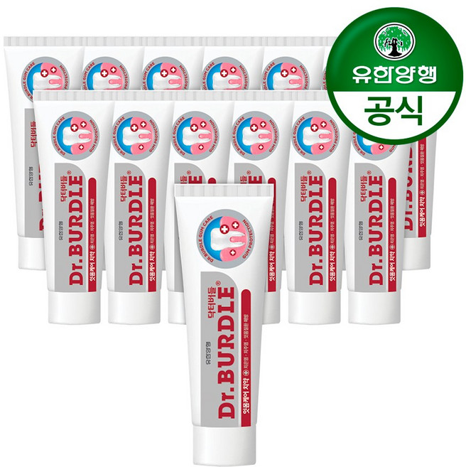 닥터버들 잇몸케어 치약, 100g, 14개