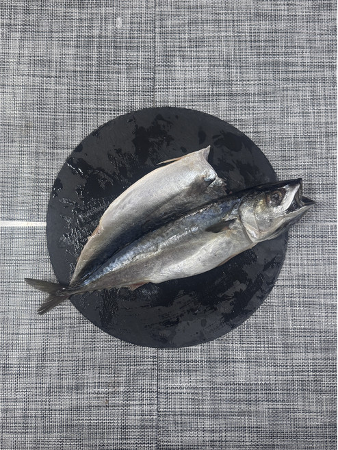 [진짜 국내산] 신안 소금으로 만든 국내산 자반고등어, 1개, 특대 사이즈 고등어 1미