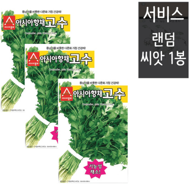 고수씨앗 300립 ( 3봉 + 랜덤씨앗1봉 ) 아시아향채고수 향신채 쌈채 건강채소, 1개