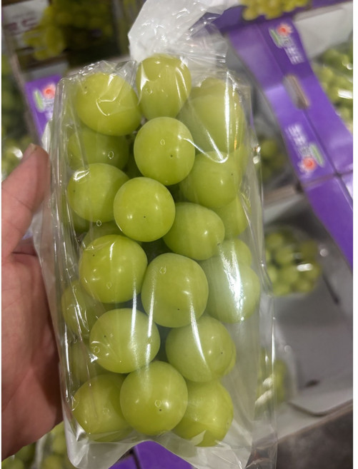 고당도 샤인머스캣 1kg 2kg 가정용 선물용, 1개, 샤인 머스캣 1kg (2~3수) 특상품