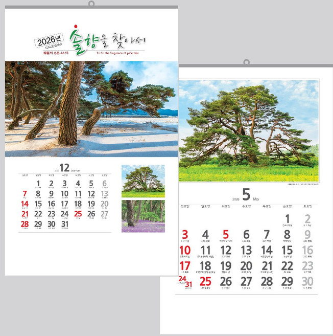 40x60cm 벽걸이 카렌다 2026 솔향을 찾아서 벽 달력, 1개