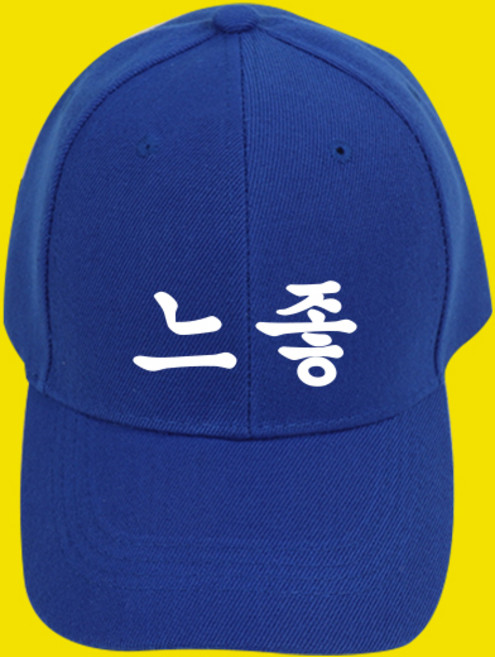 흠뻑쇼 싸이 콘서트 준비물 파란모자