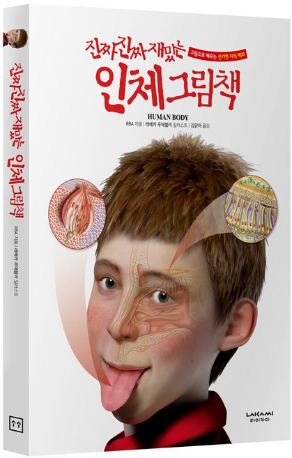 진짜진짜재밌는 인체그림책 유아 어린이 우리몸 백과사전 책, 단품, 단품