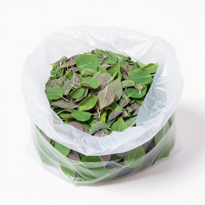 국내산 깨순 깻잎순 4kg 깨순나물 깻순 나물 어린깻잎, 1개