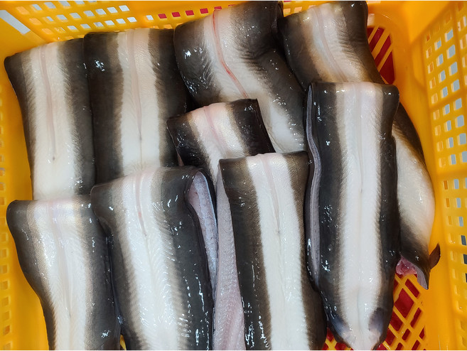 민물장어 장아 1kg 3마리 손질후 750g내외 자포니카 소스포함 상원장어랜드, 1개