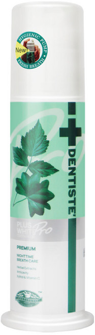 덴티스테 플러스화이트 펌프형 치약, 120g, 1개