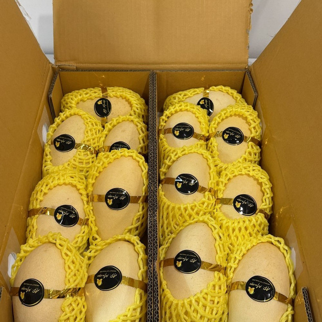 [제니네 제철과일] 산지직송 남독마이 골드망고 프리미엄 열대과일, 1개, 5kg 내외 (10~18과)