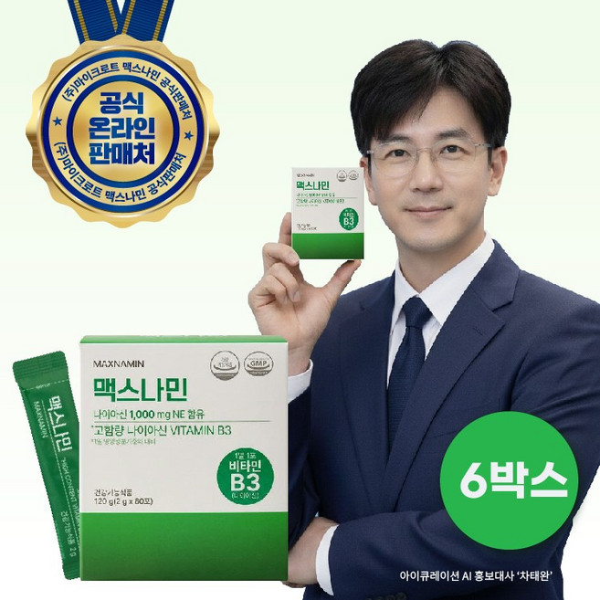 맥스나민(MaxNAMIN) 고용량 비타민 B3 1000g 니코틴산아미드, 6개, 60회분