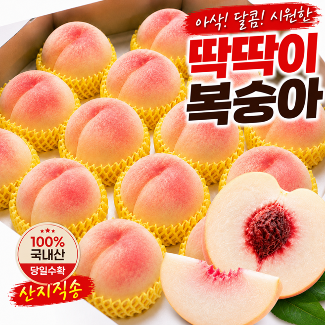 [기간한정] 탈콤 아삭 딱딱이 복숭아, 1박스, 1kg 로얄과