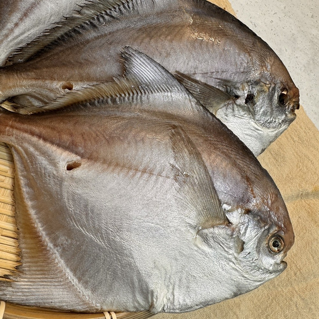 국내산 반건조 병어 병치 자연산 제수용 제사 손질 말린 구이 170g 3개, 170