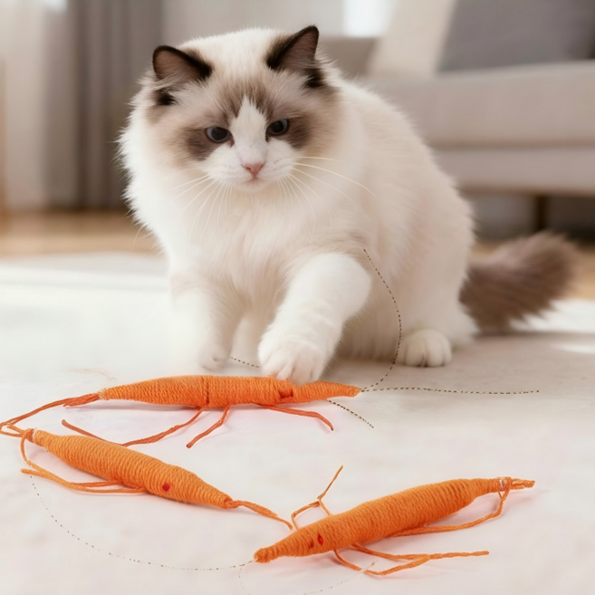 사냥 놀이 울사 새우 애착 캣닢 고양이 장난감 3P 세트, 1세트, 오렌지 새우