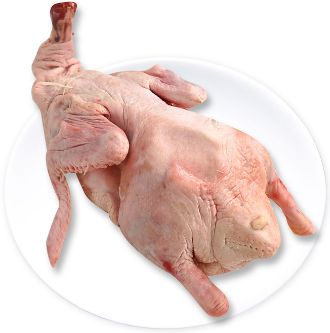 [대국맛짱] 국내산 쫄깃한 특대 종계오리 통오리 오리 내외 손질필요 [일요일/당일발송], 1개, 3.3kg