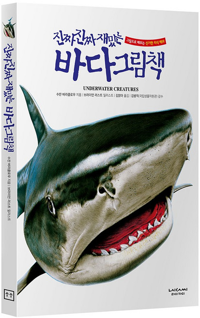 진짜진짜재밌는 바다그림책 바다생물 유아 어린이 백과사전 책, 단품, 단품