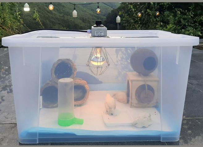 75L 특대형 육추기 자동 온도 조절기 빅사이즈 병아리 미니메추리 앵무새집 육추기통, 완전조립 세트상품, 1개