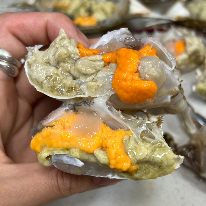 통수산 대표 상품 26년 알배기 활 암꽃게, 1개, 활암꽃게1kg3-5미(수율50-80%)