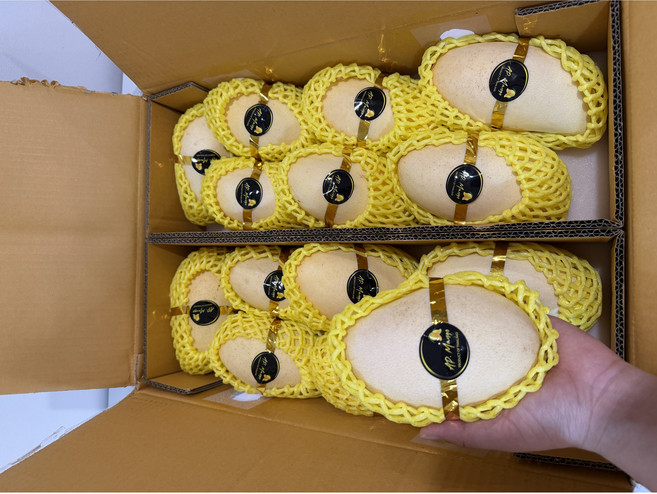 태국 남독마이 골드망고 고당도 프리미엄 망고, 1개, 1kg 내외 (2~4과)