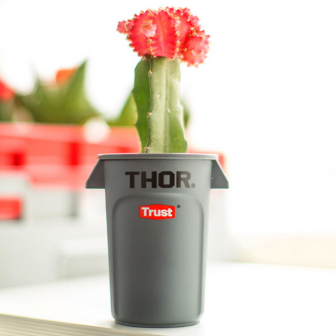 트러스트 Thor 토르 미니 컨테이너 다용도 휴지통 연필꽂이 화분, 초록, 추가안함, 1개