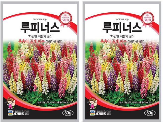 루피너스 씨앗 30립 꽃씨앗 세계종묘 모칸도, 2개