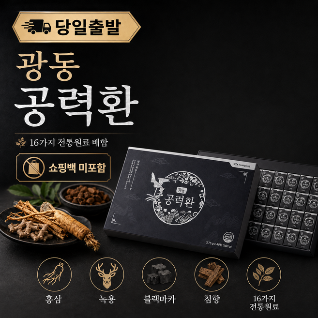 광동 공진 공력단 침향환 침향단 기력단 활력단, 1박스, 180g