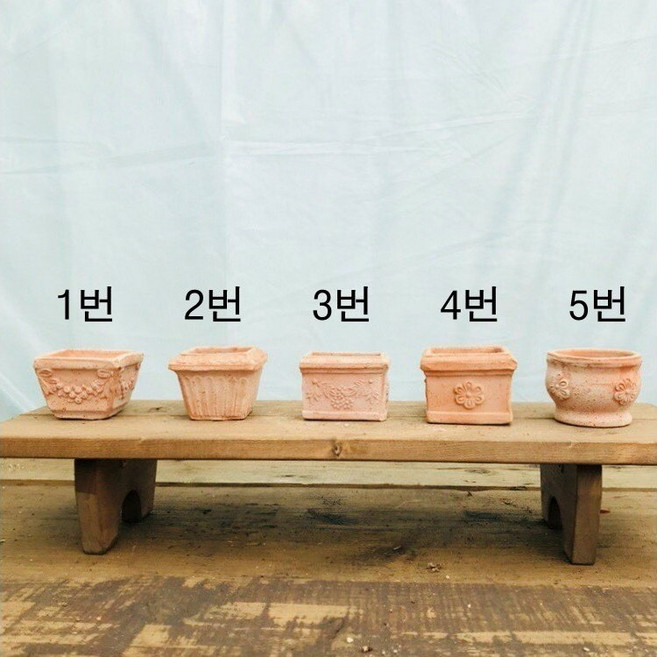 청년농부 미니 이태리토분 미니화분 다육이화분 작은화분 소형화분, 1번
