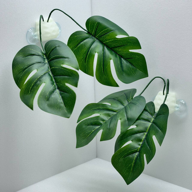 테라돔 테라리움 야광정글 파충류 도마뱀 은신처 꾸미기 몬스테라 2개