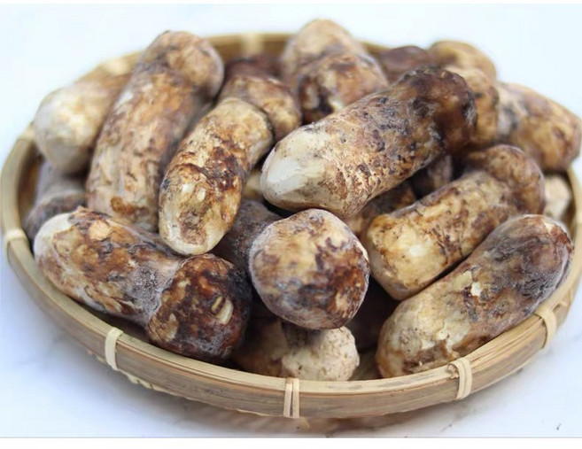 자연산 냉동송이 급냉 백두산 티벳 청정지역 고품질, 1박스, 특품1kg