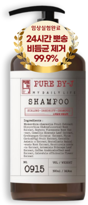 비듬균 99.9%제거 퓨어바이제이 두피케어 스케일링 비듬샴푸, 1개, 500ml