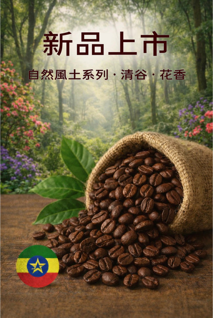Guobao Coffee 衣索比亞水洗 中焙 早餐豆 自然風土系列・清谷・花香, 500g, 1個