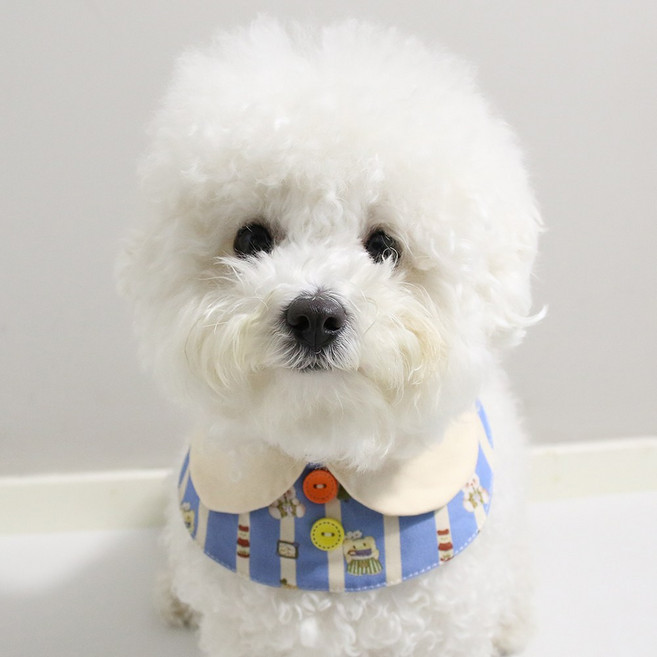 드림계곡 강아지 귀여운 카툰 무늬 케이프, 1개, 파란색