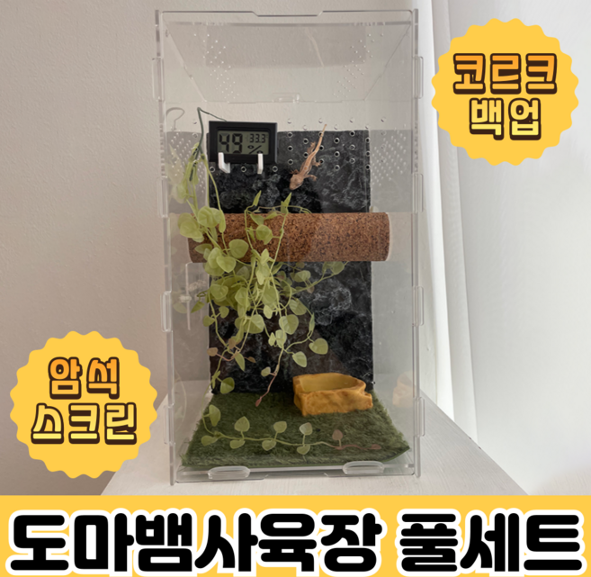 크레용샵 도마뱀 사육장 크레스티드 게코, 블랙 1개, 1개