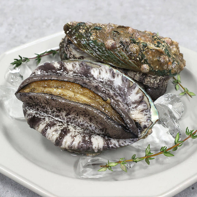 완도전복마을 특대전복 1kg 8-9미 산소포장, 8-9미 1kg 산소포장