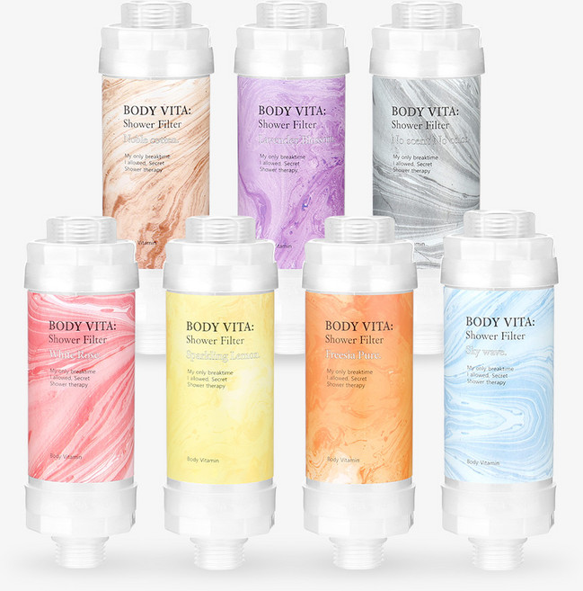 바디비타 바디비타 비타민 샤워필터 녹물 염소제거 온가족안심 고보습 고농축겔 국내생산, 1개, 세디먼트필터  세트