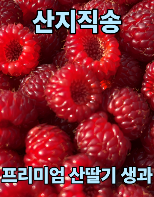 서비네 산지직송 프리미엄 산딸기 생과, 1개, 1kg
