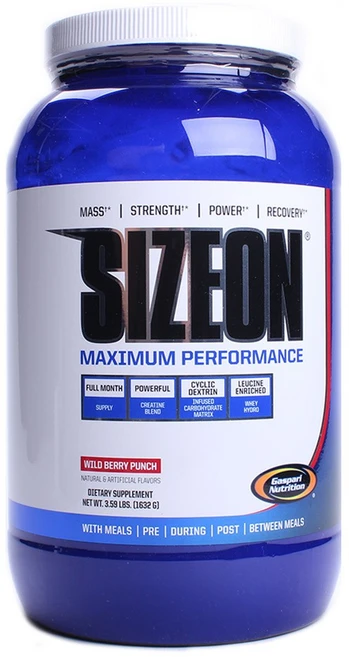 가스파리뉴트리션 사이즈온 맥시멈 퍼포먼스, 1개, 1.63kg - 쿠팡