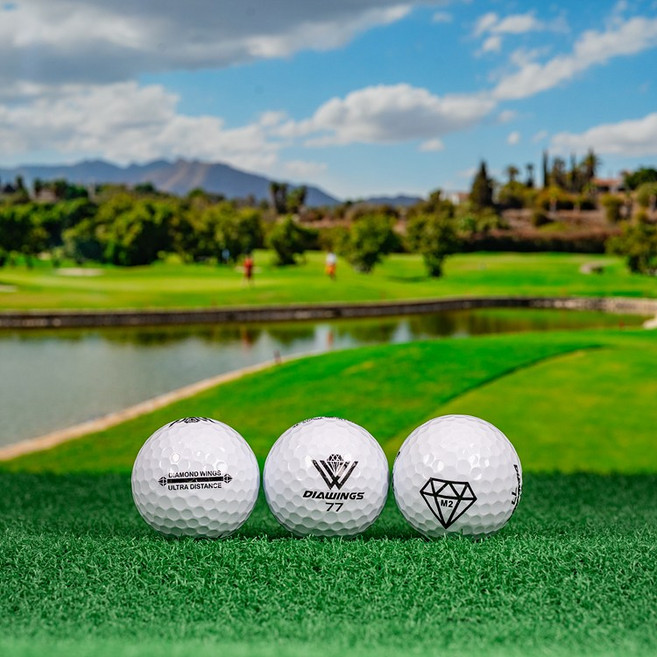 지앤피컴퍼니_다이아윙스 A-급 로스트볼 50알, 1개, 50개입, 화이트