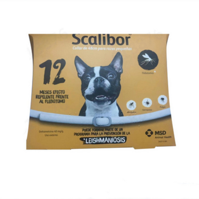 돌단비 강아지 유전자 검사 키트 혈통 DNA 테스트, 1개, 스페인 강아지 48cm