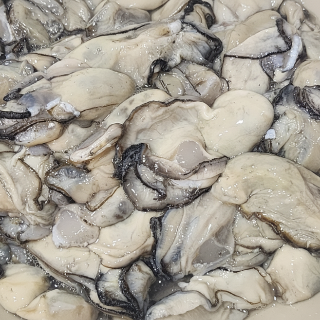 산지직송 통영 생굴 깐굴 통영굴, 1박스, 1kg