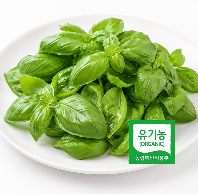 유기농 생 바질 50g 신선한 페스토용 샐러드용 파스타용 프리미엄 허브 Dd, 단품, 단품
