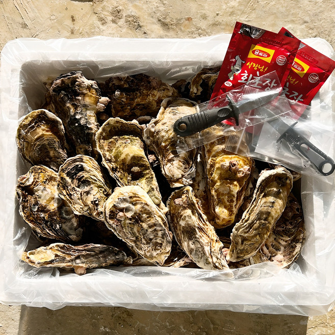 하고잽이수산 솔 세척 프리미엄 통영 석화 굴 (조개칼+회초장증정), 1박스, 10kg