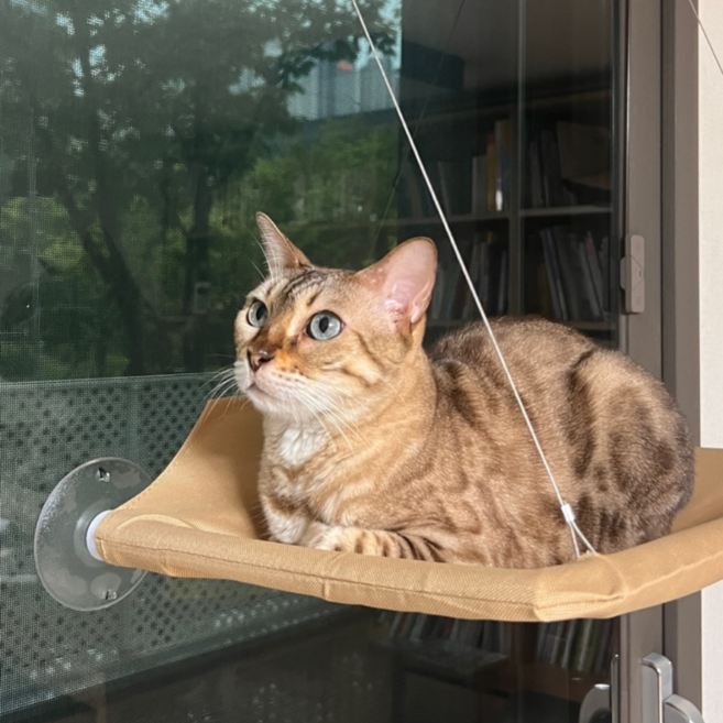 에스픽 하이냥 창문캣선반 윈도우 고양이 해먹, 하이냥베이지, 1개