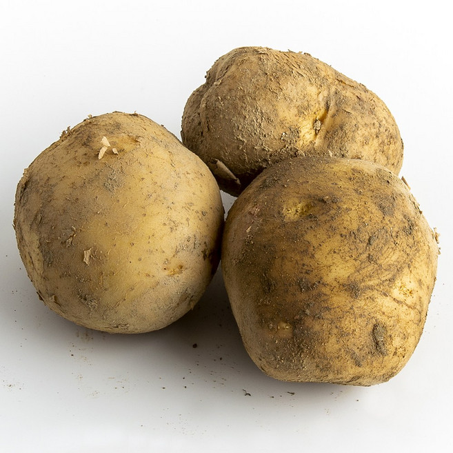 25년 햇 두백감자 산지직송 국내산 대왕 중소 3kg 5kg 10kg, 1박스, 5kg (중소)