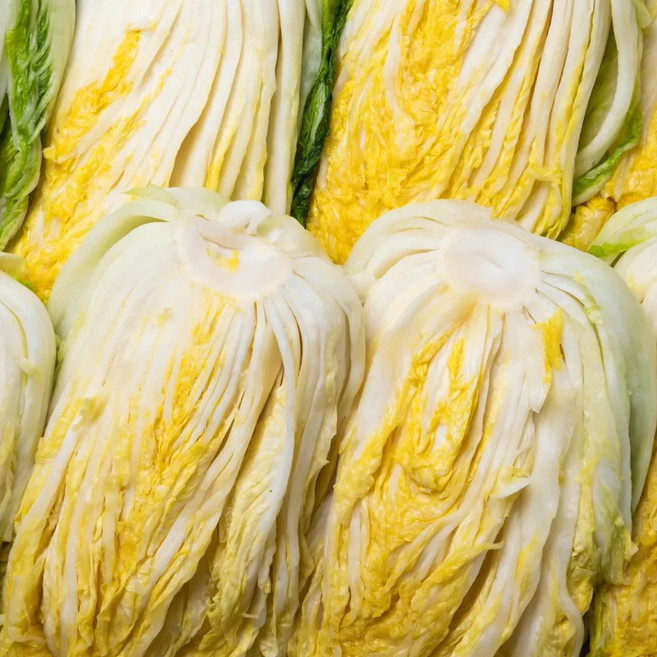 [정동원배추] 국내산 해남 절임배추, [희망 도착일을 배송메세지에 적어주세요], 1박스, 20kg