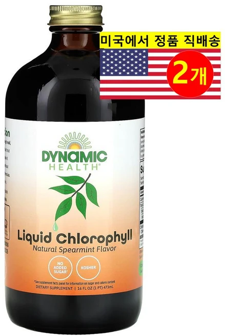 Dynamic Health 다이내믹 헬스 그린 슈퍼 푸드 액상형 엽록소 천연 스피어민트 100mg Spearmint, 473ml, 2개 - 쿠팡