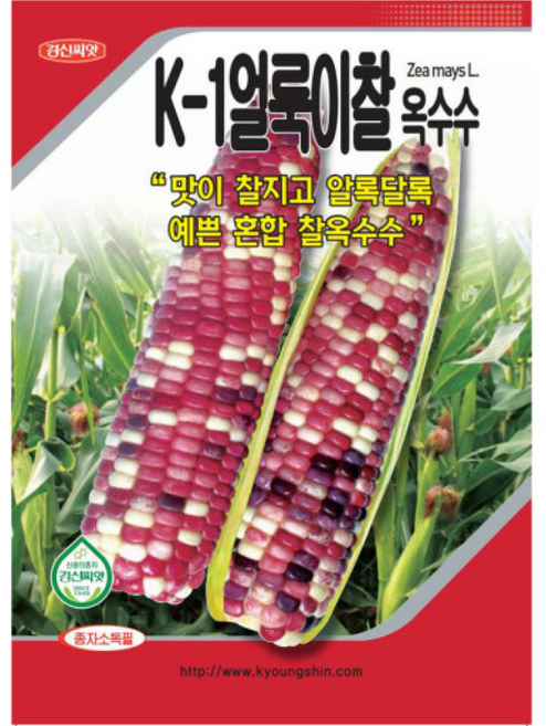 [주주씨앗] 얼룩찰옥수 씨앗 100립 / 알록달록 혼합 찰옥수수 종자 K-1얼룩이찰 / 봄 파종 채소씨앗 씨앗몰, 1개
